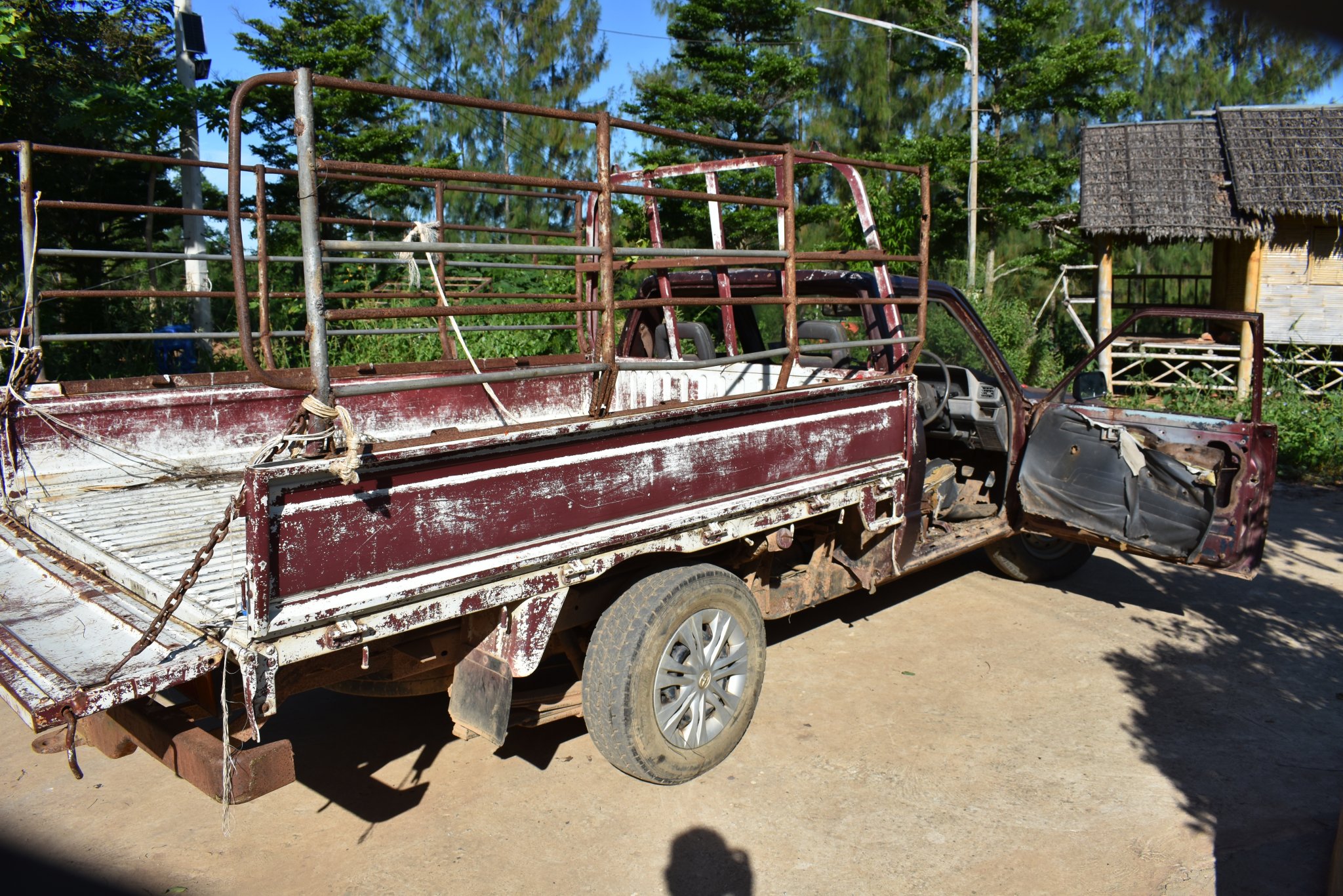 DSC_5495.JPG