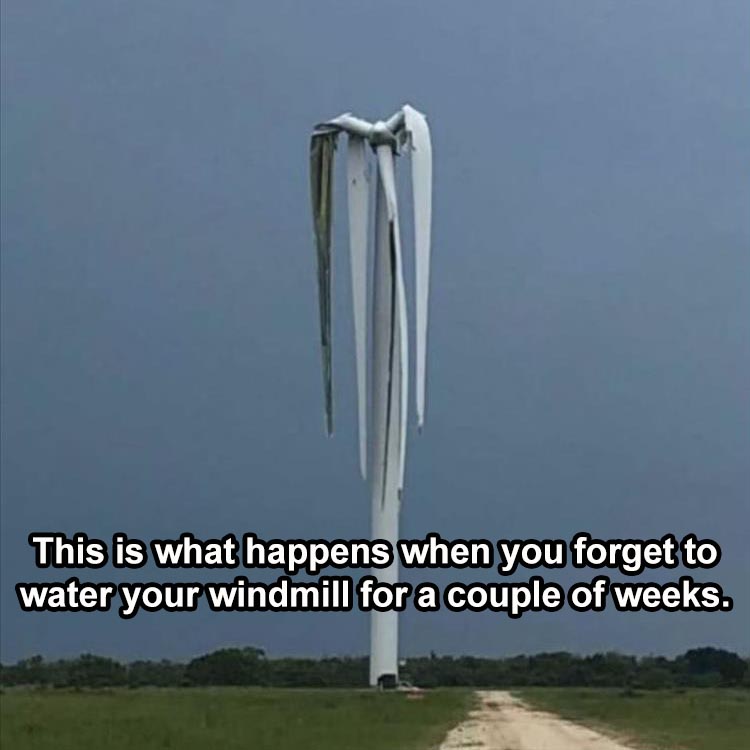 forgot-to-water-my-windmill.jpg.4aeda778df01f03f9bef28628bd4cfc7.jpg