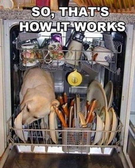 how-a-dishwasher-works.jpg.d6f2ffe356d79d4805254a1fb3c1c50e.jpg