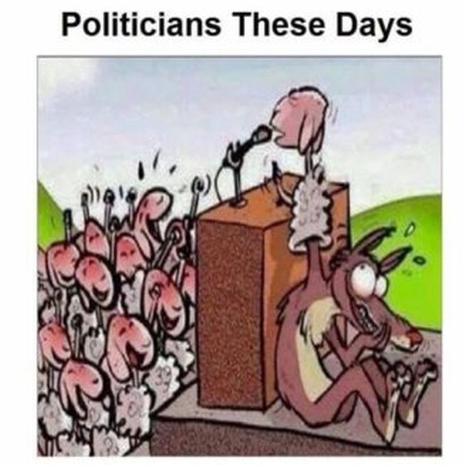 politicians-these-days-350x345.jpg.a29f1e086132ad1e41af8299aa21fb44.jpg