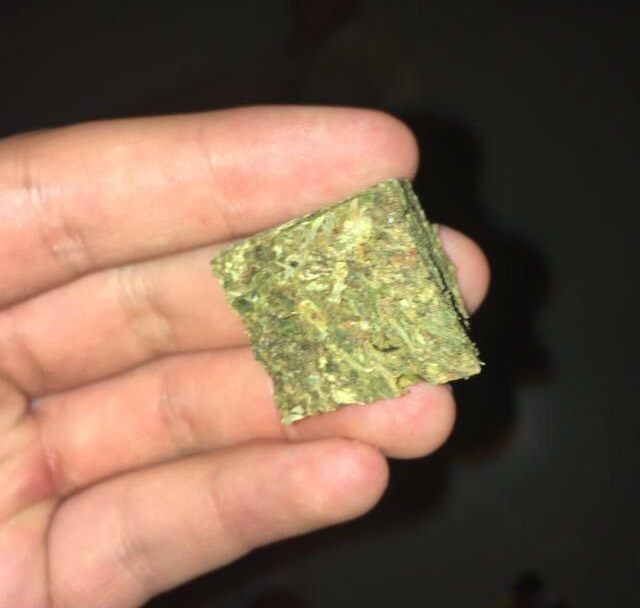thaiweed.jpg.2866230b36617799a5b20c79533b94c8.jpg