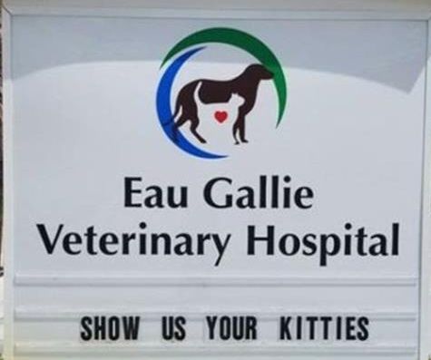 vet-signs-5.jpg.7c1295b72b093ad418bd5d40624ffa8a.jpg