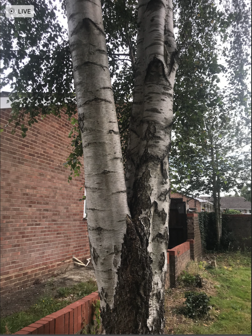 Screenshot 2021-08-29 at 18.08.00.png