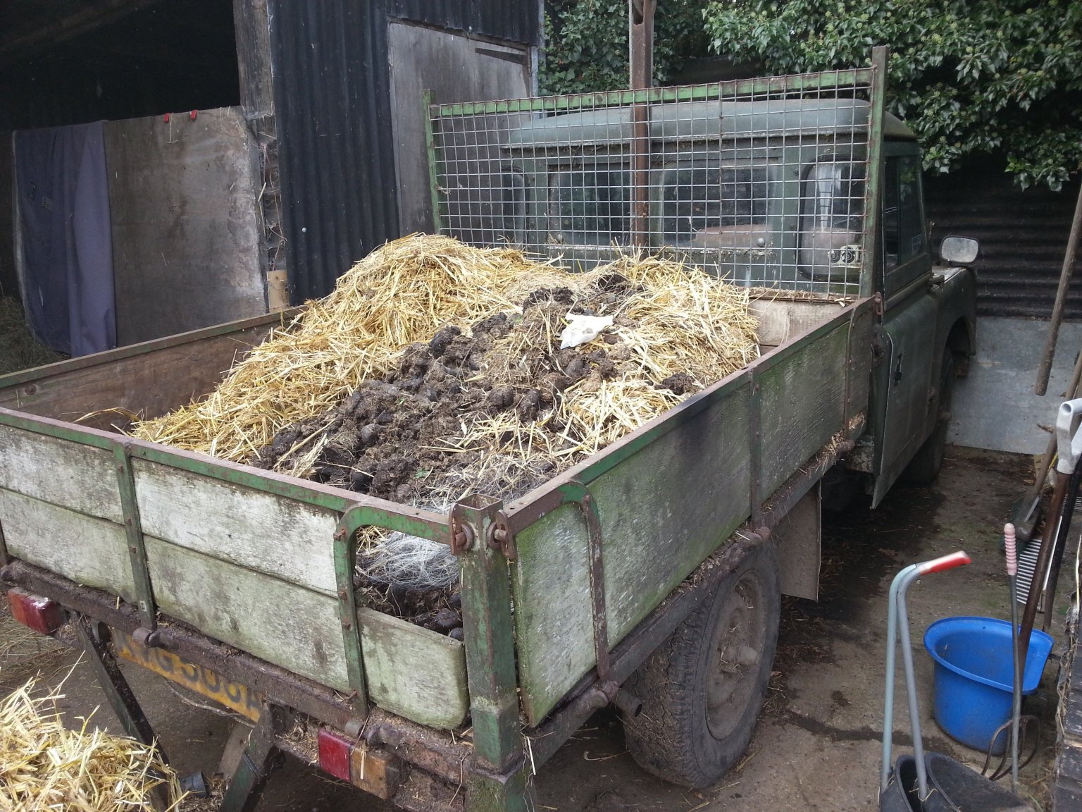 1129546460_Horsemuck.thumb.jpg.5f7bd55a3ec3ce7e0f89a17b38fa077a.jpg