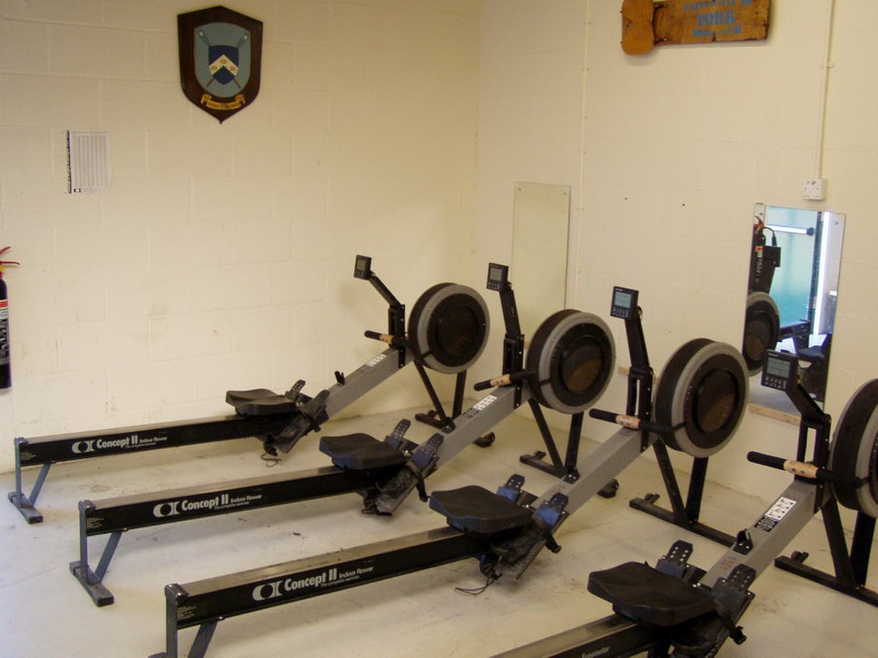 1280px-Concept2_Indoor_Rowers.jpg.041ede0ce218a77789a1d656ca0baca3.jpg