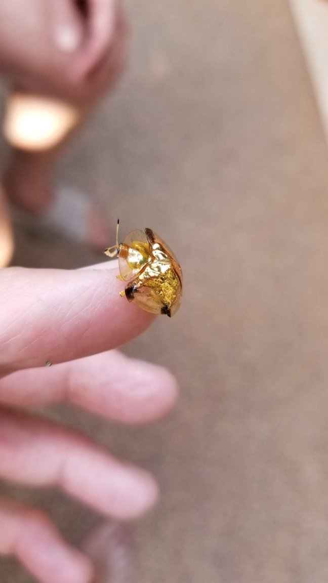 20191119_083211.jpg