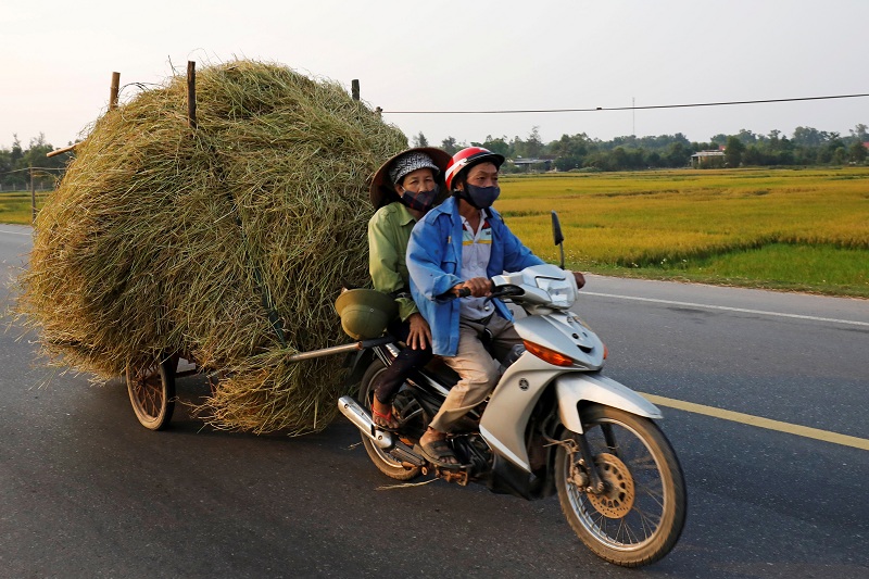 2021-08-18T050401Z_1_LYNXMPEH7H04N_RTROPTP_4_INDIA-VIETNAM-RICE-EXPORTS.JPG