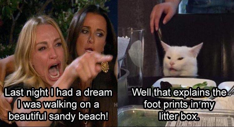 720386955_catlitterbox.jpg.79021be14b4d8daf672869ab800fc3e0.jpg