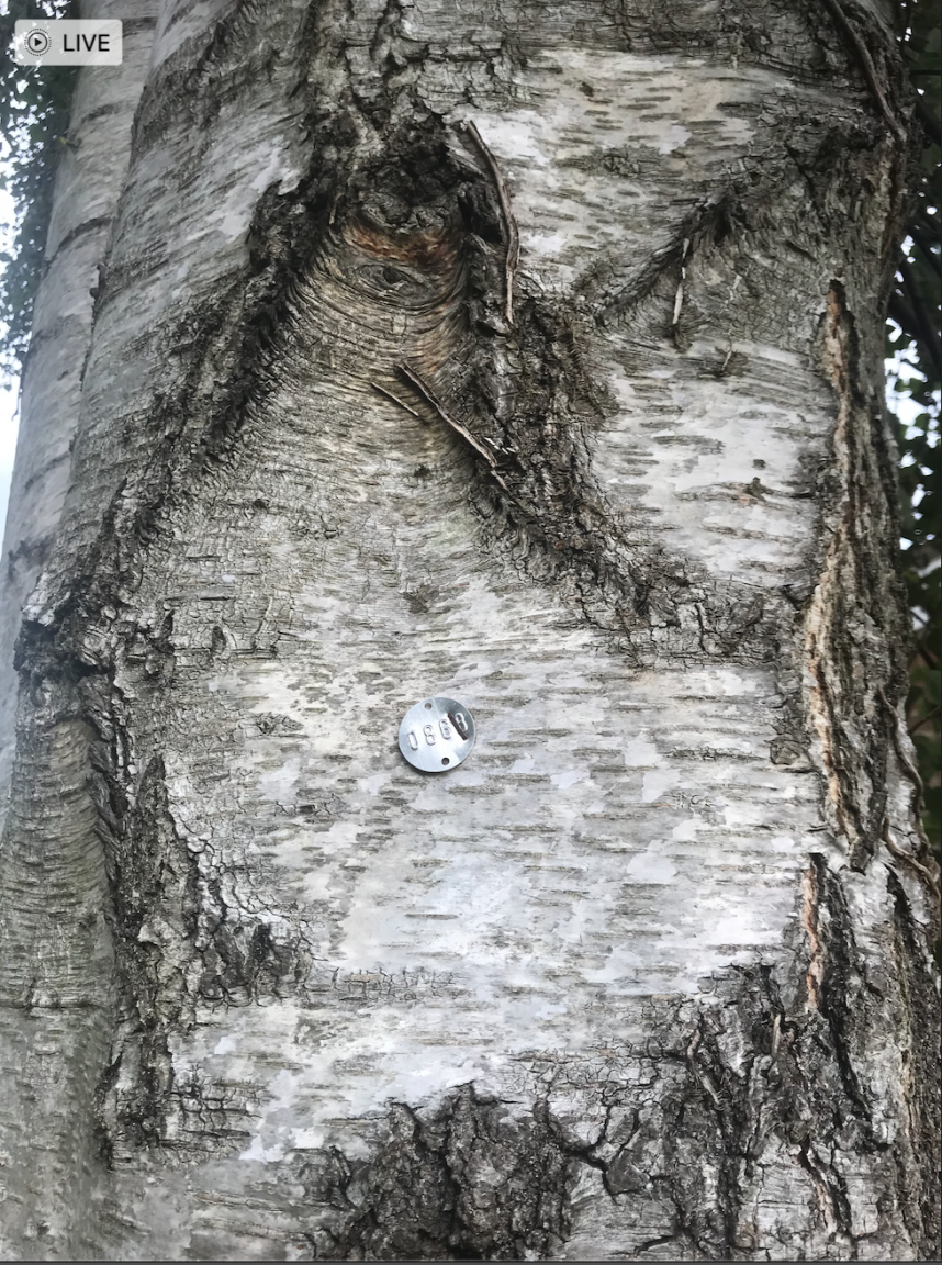 Screenshot 2021-08-29 at 18.05.47.png