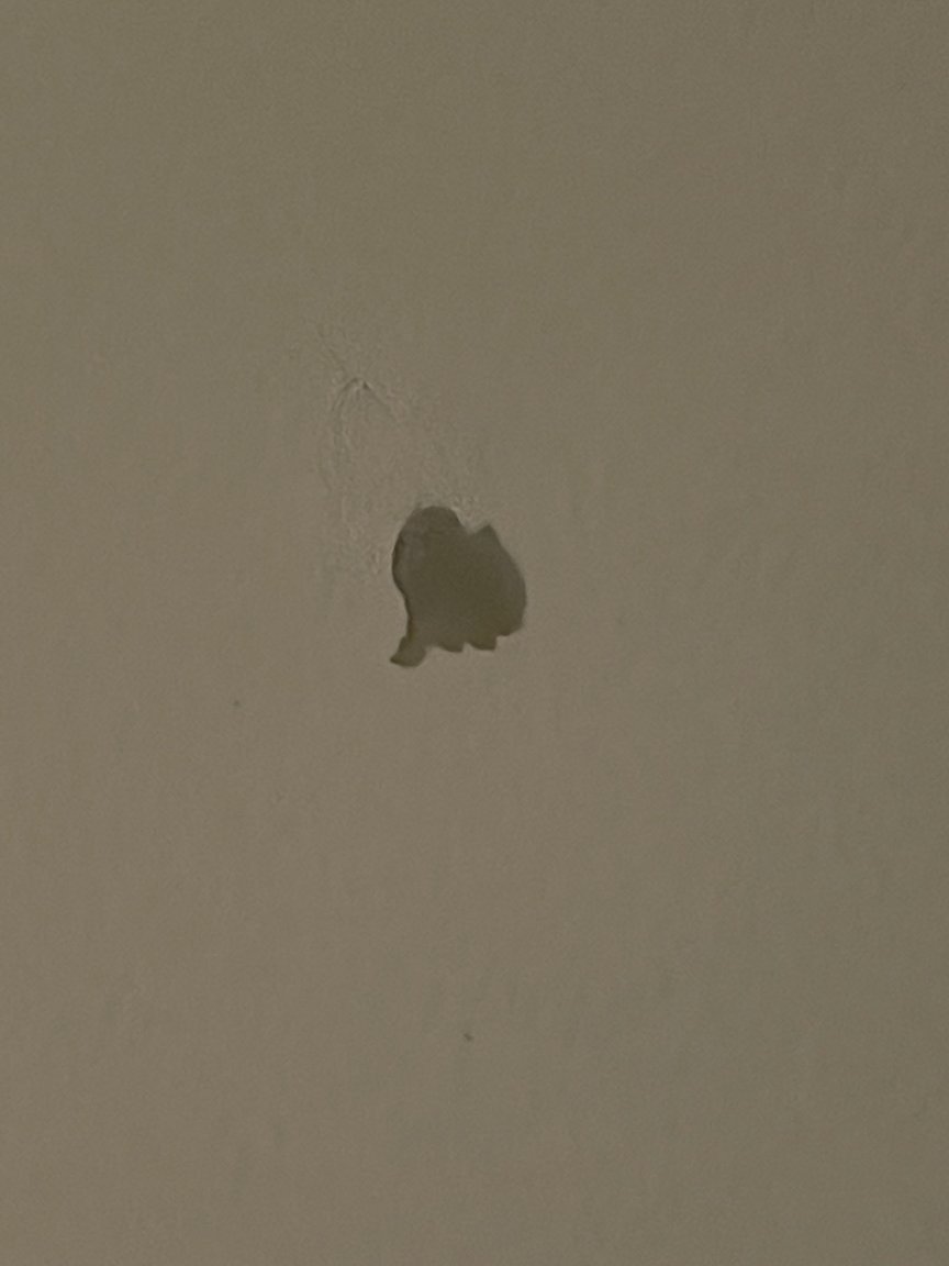 94D06451-A13C-4319-AD08-0792E8C820F6.jpeg
