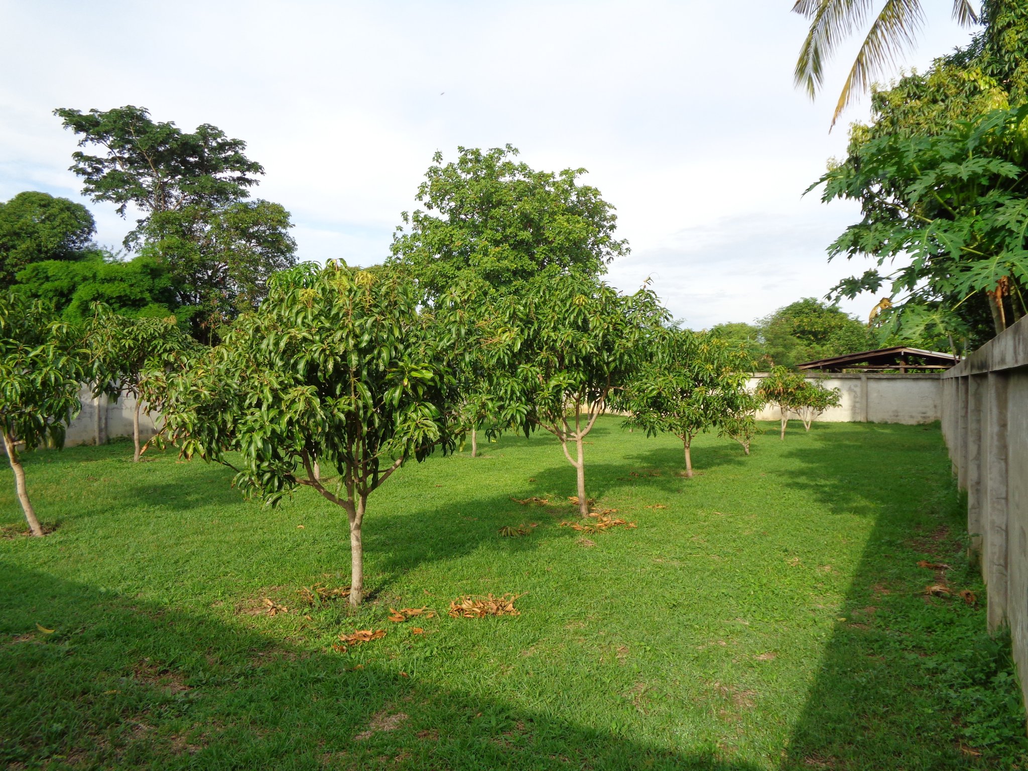 DSC00108.JPG