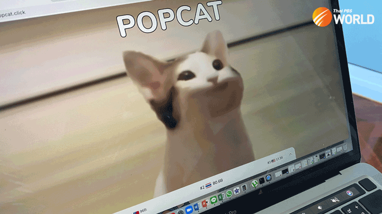 Popcat-Thailand_web.png