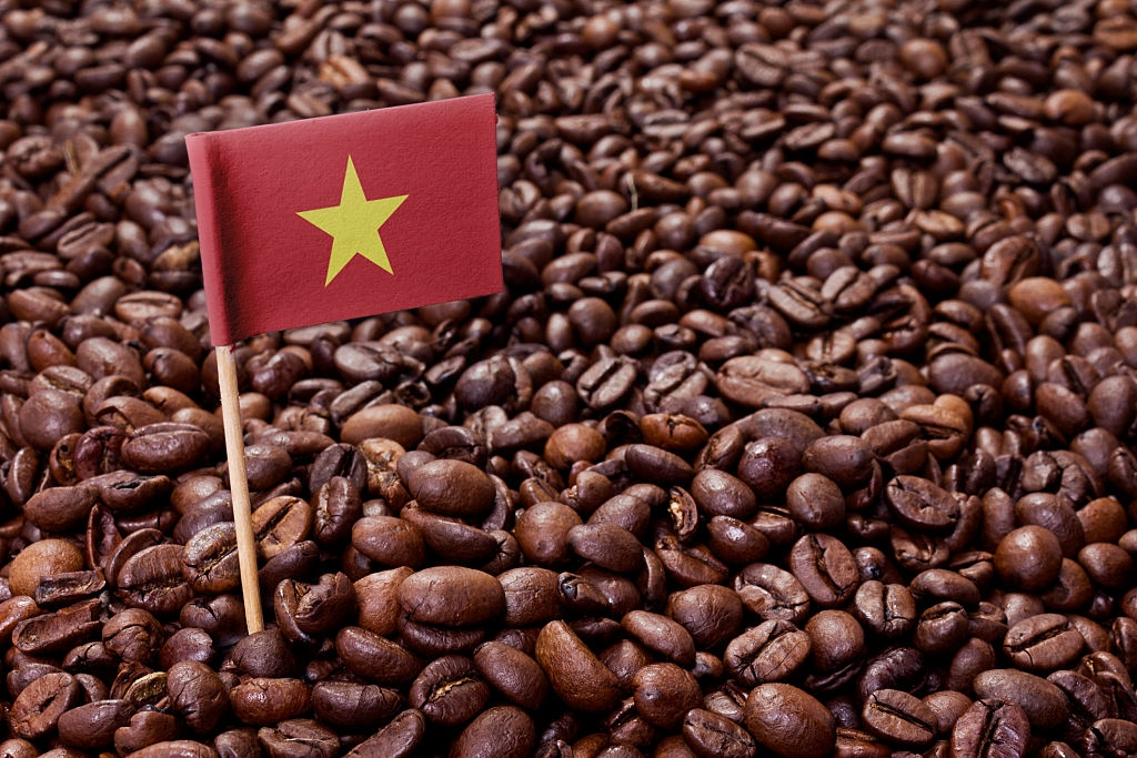 coffee-export-vietnam1.png.88526916b264358bf352062c46614f25.png
