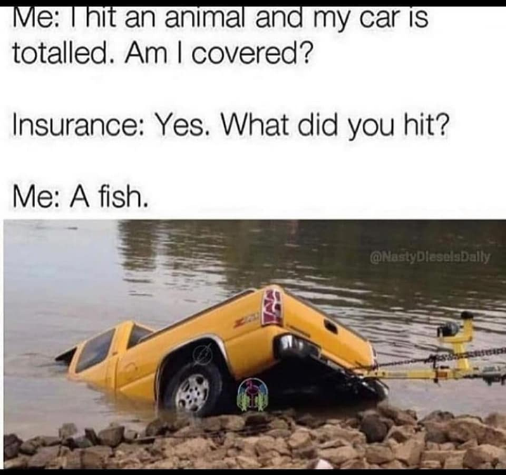 image.png.0b787b049710b882a6634621b8589eda.png