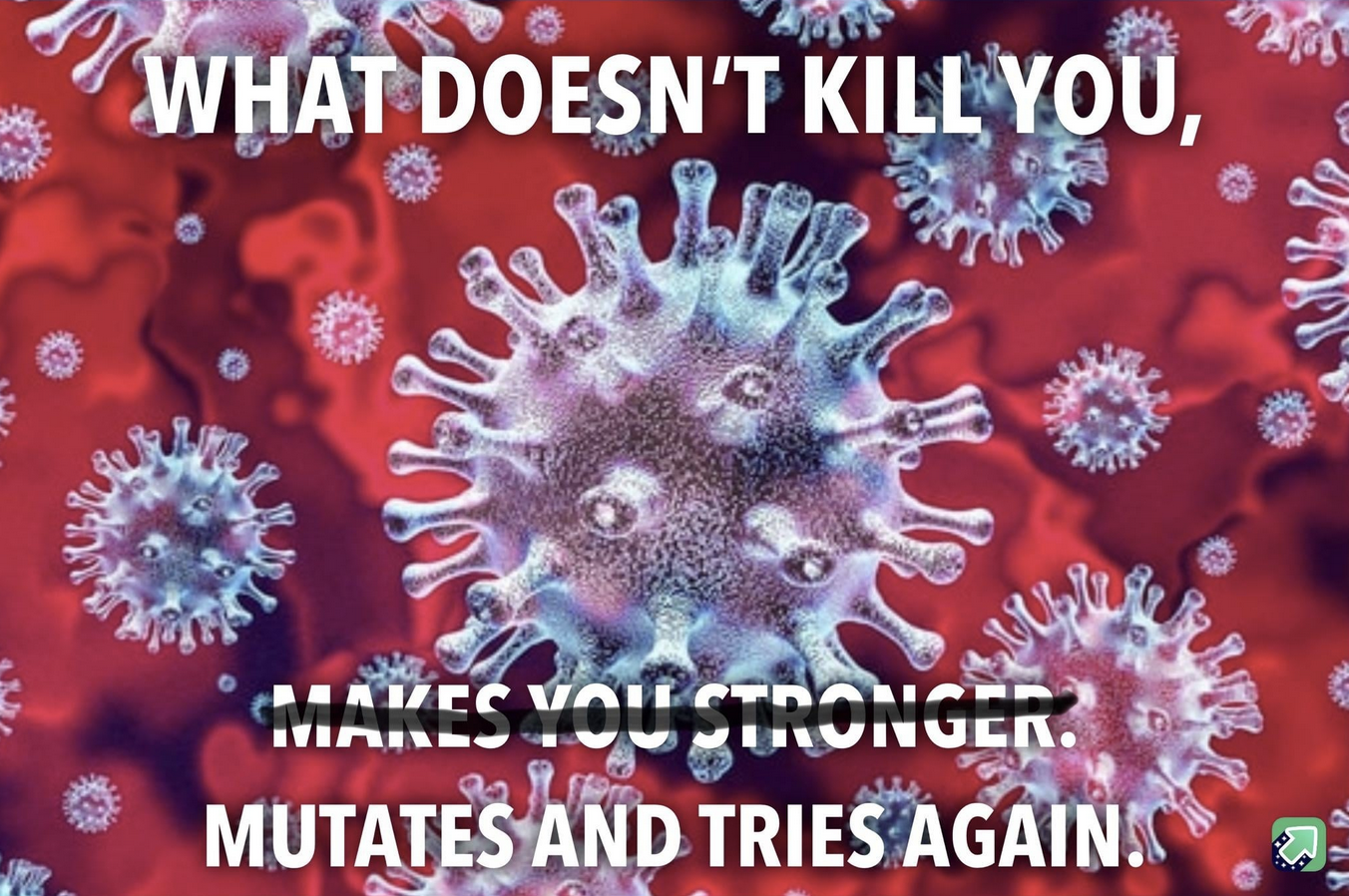 image.png.7bd7a47b38543abee2313d4120829407.png