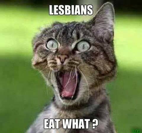 lesbians-eat-what.jpg.1143d10bf57d08f6d26dfd5f97821a44.jpg