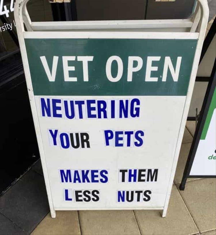 vets.jpg.f89dc2647090fa91067c00d71d2933b5.jpg
