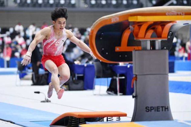 yulo-vault-630x420.jpg.b9db24f88875d2a97d68348113d130c1.jpg
