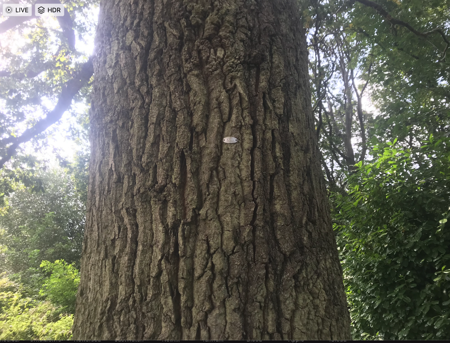 Screenshot 2021-09-03 at 17.29.16.png