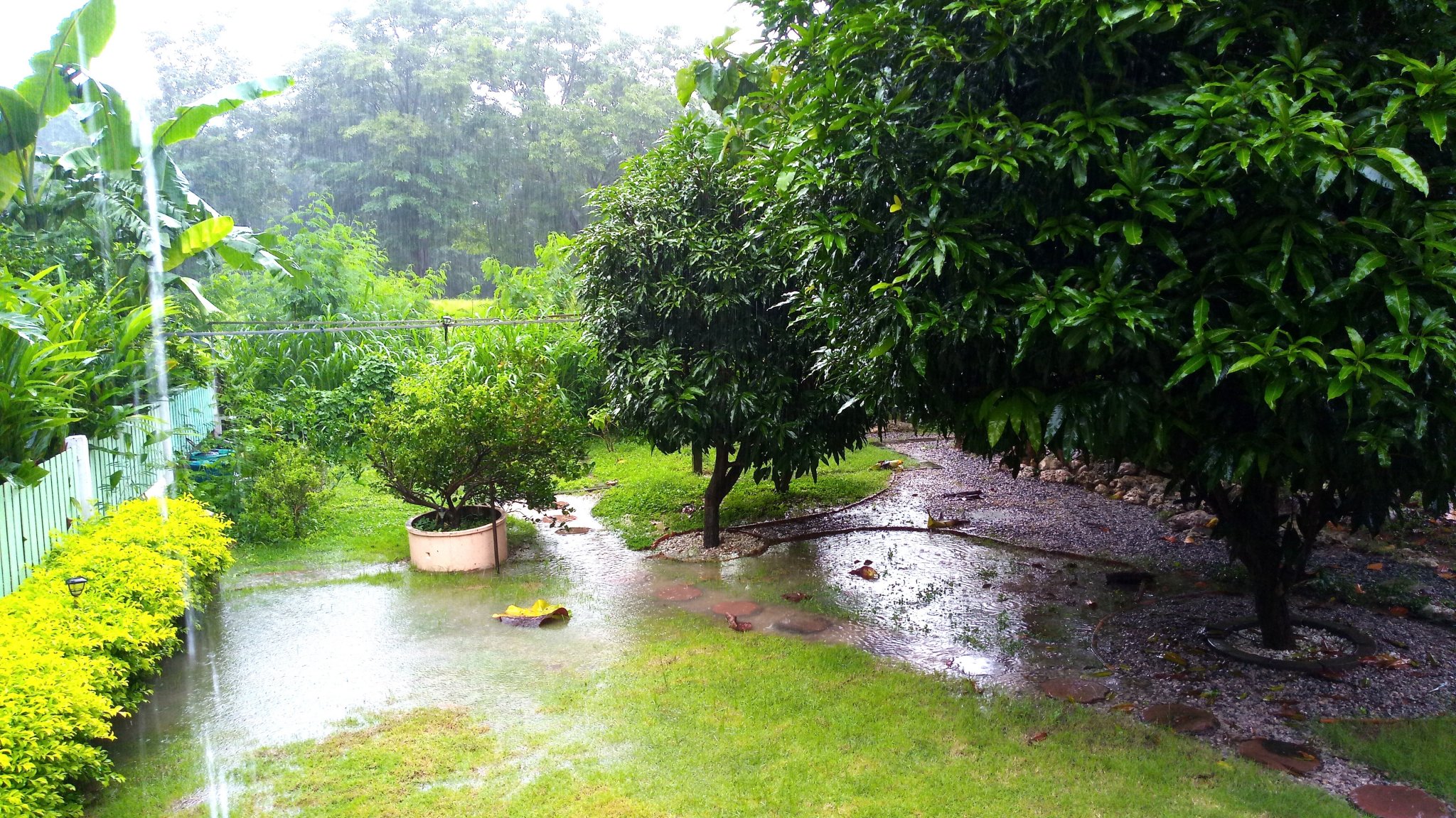 a worst rain.jpg