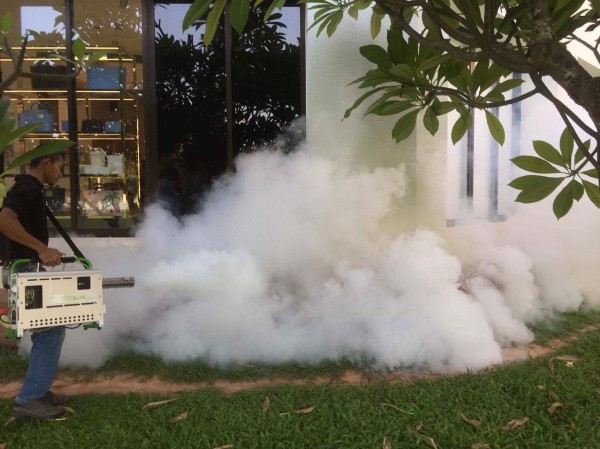 1494744724-40-noble-168-american-pest-control-termite-company.jpg