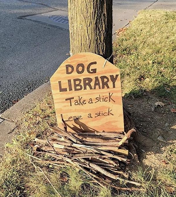 1903758372_doglibrary.jpg.1c3d61f8202453c63a182699a2979701.jpg