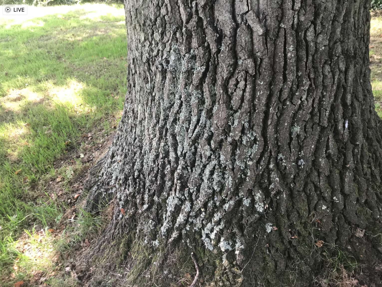 Screenshot 2021-09-03 at 17.29.43.png