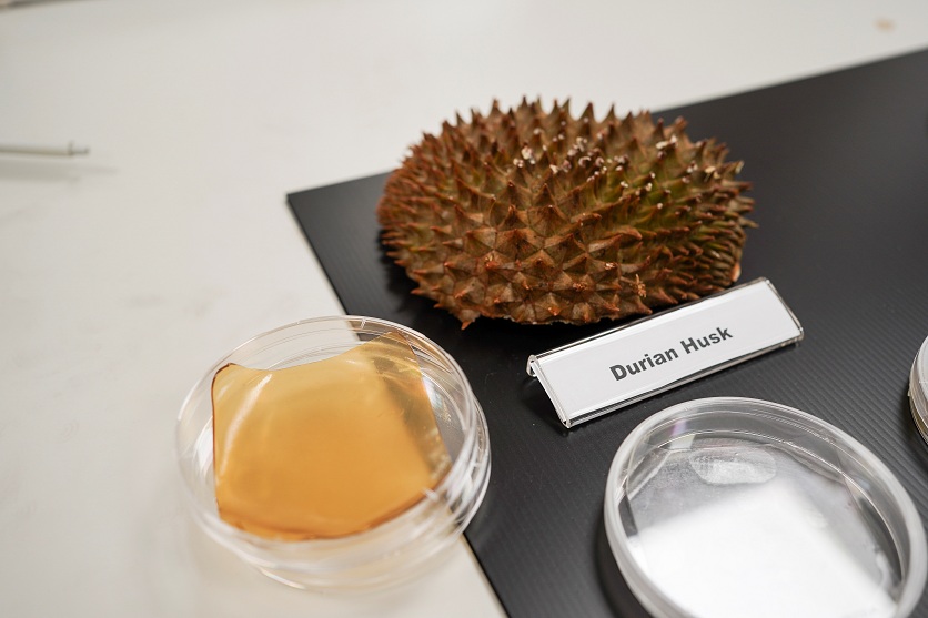 2021-09-20T012831Z_1_LYNXMPEH8J00U_RTROPTP_4_SINGAPORE-DURIAN-BANDAGES.JPG
