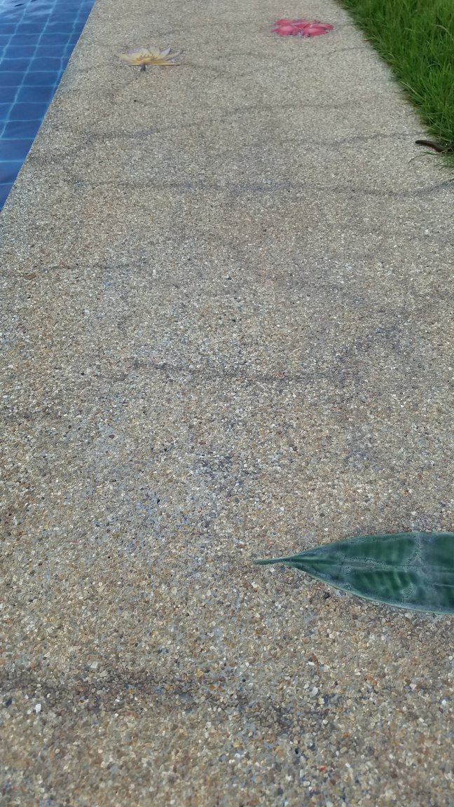 20210916_164015.jpg