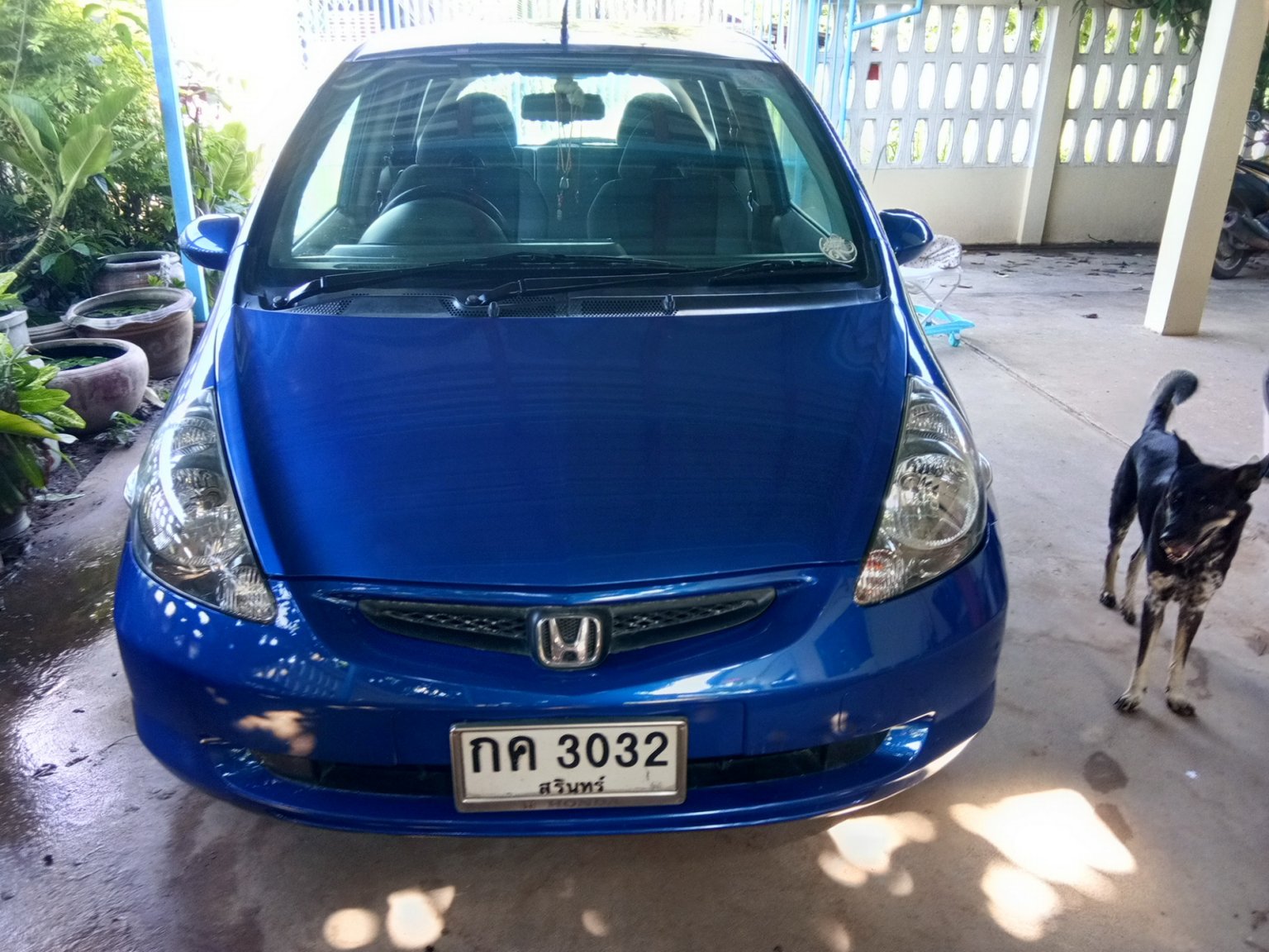front view.jpg