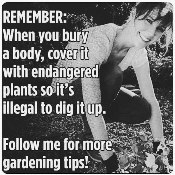 GardenTips.jpg.dacd8a3cc66fd19b05d4f72174f3e479.jpg