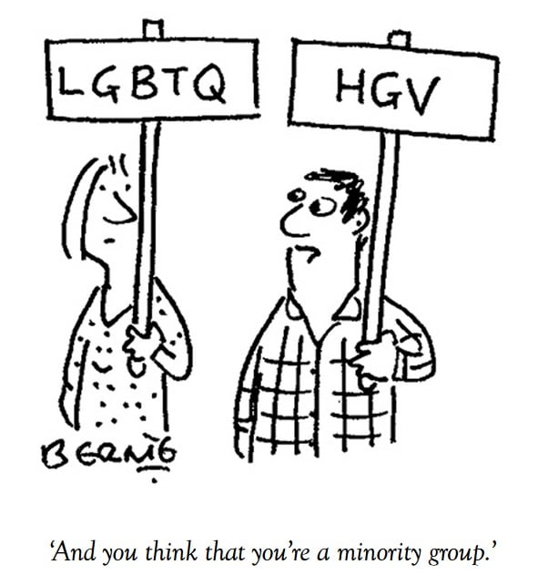 HGVMinority..jpg.492348c8eece48c6dafecd5bd9ddcae0.jpg