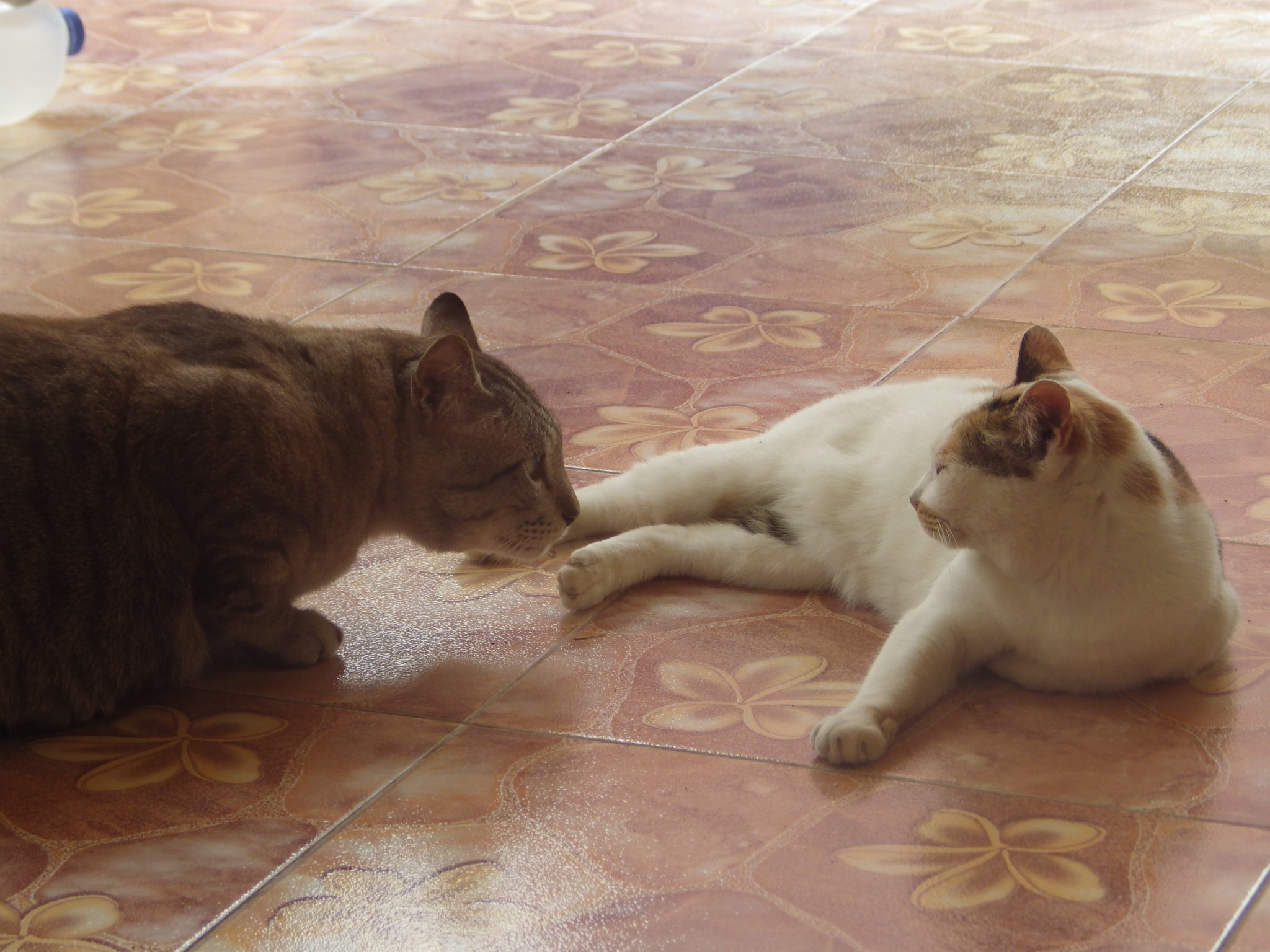 IMGP0014.JPG