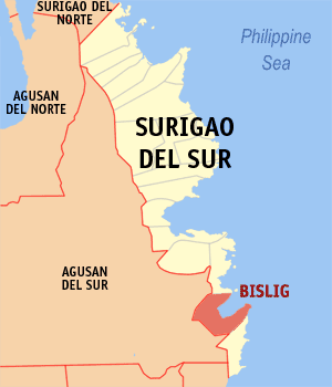 bislig-surigao-del-sur.png.d9557af30c1acadcd2601e4f99268440.png