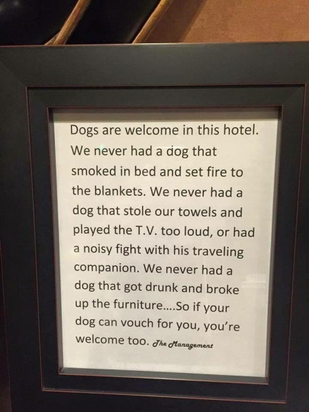 dogs-are-welcome.jpg.5c495791188dff68126ef8491d15e119.jpg