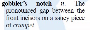 gobblersNotch.jpg.a28407441a2b16f24f3d43181273bd9a.jpg