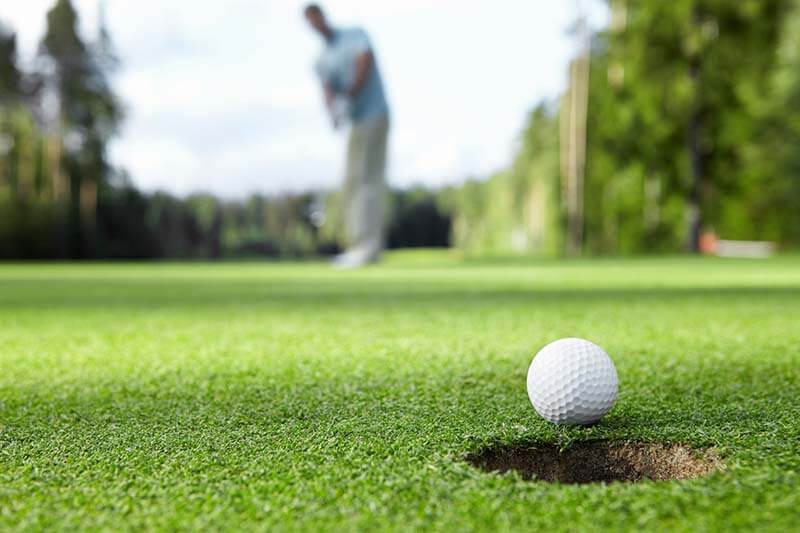 golfer.jpg.f515d22659d7c749b99a079c6dc275f4.jpg