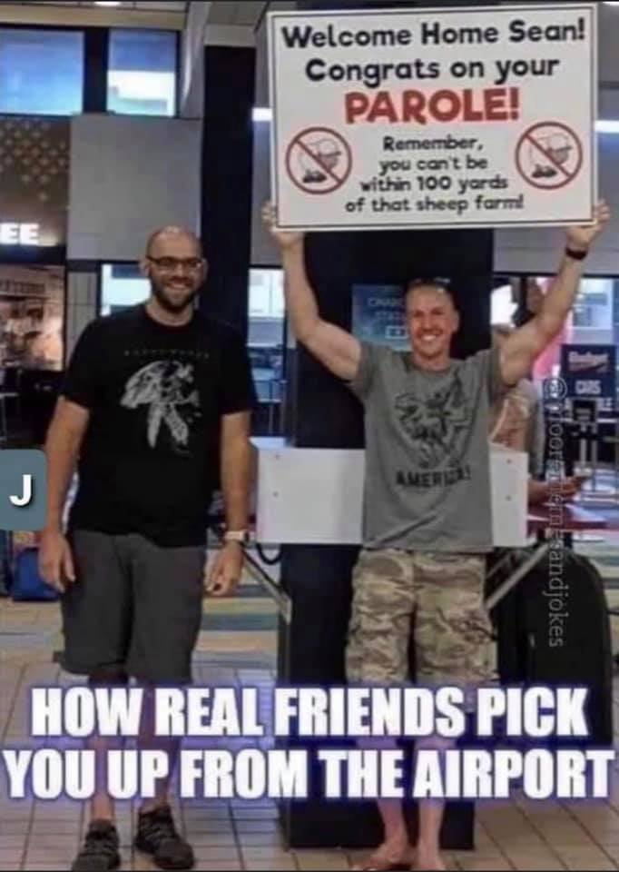 image.png.01770621e24545ab19eb2bd5ac0b2baa.png