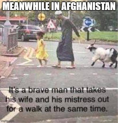 image.png.9b875636bad0f65f9afd621560e88299.png