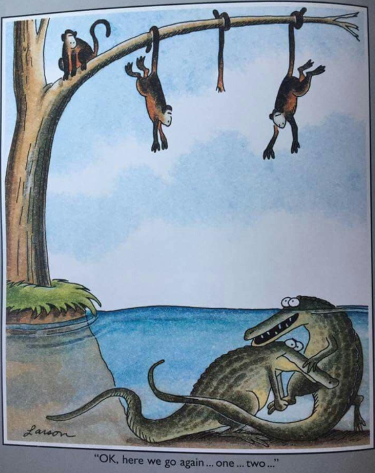 image.png.f291e0422bf022324ee4cf450310675b.png