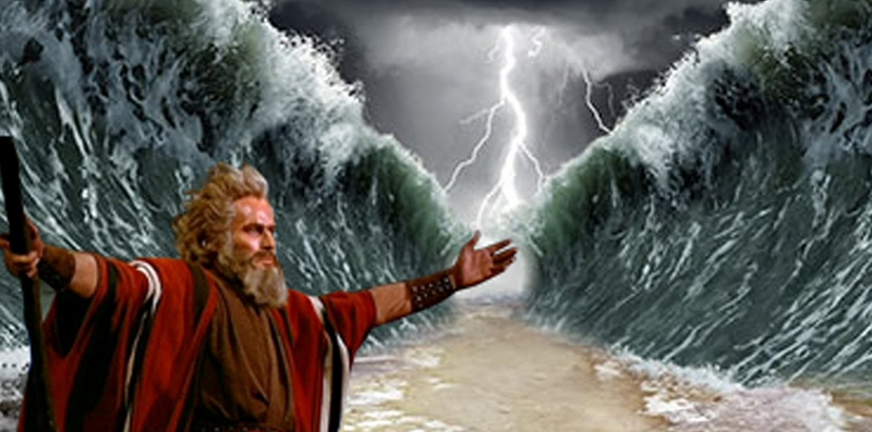 image.png.ff0cc67c394645743935da9e24ee3057.png