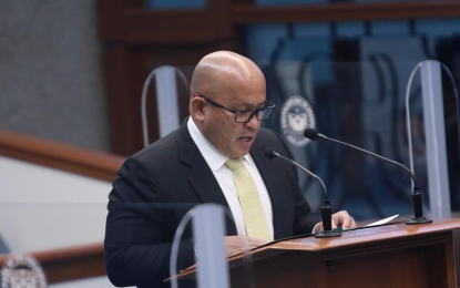 senate-dela-rosa.png.7a9fa50490cd6f1893c5beb0e8038590.png