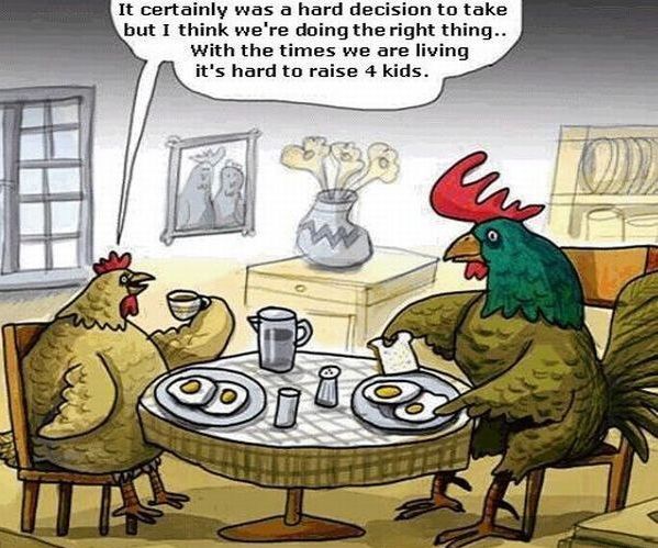 1014980081_breakfasteggs.jpg.6585a832dd363cf2b90eb859d49e7332.jpg