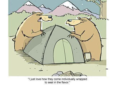 1052584564_bearfood.jpg.241b44f7c6b0b242aedf8aef7d0dfc5e.jpg