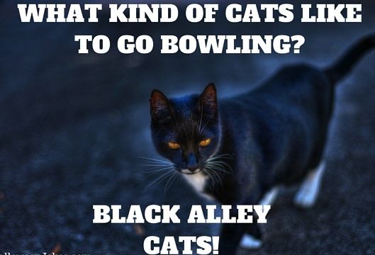 1178690614_alleycats.jpg.541161998b501e06c07056fc1ae0da2d.jpg