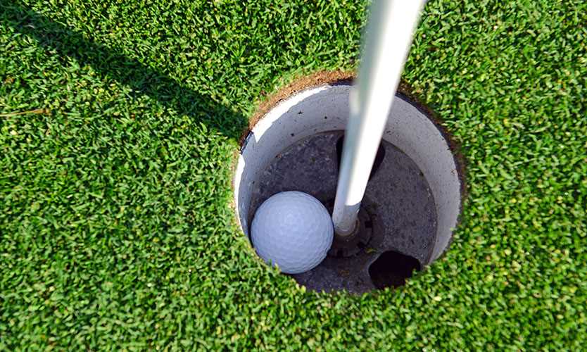 1358813226_holeinone.jpg.4762bc9dcb9c1cc846654b9899af8741.jpg