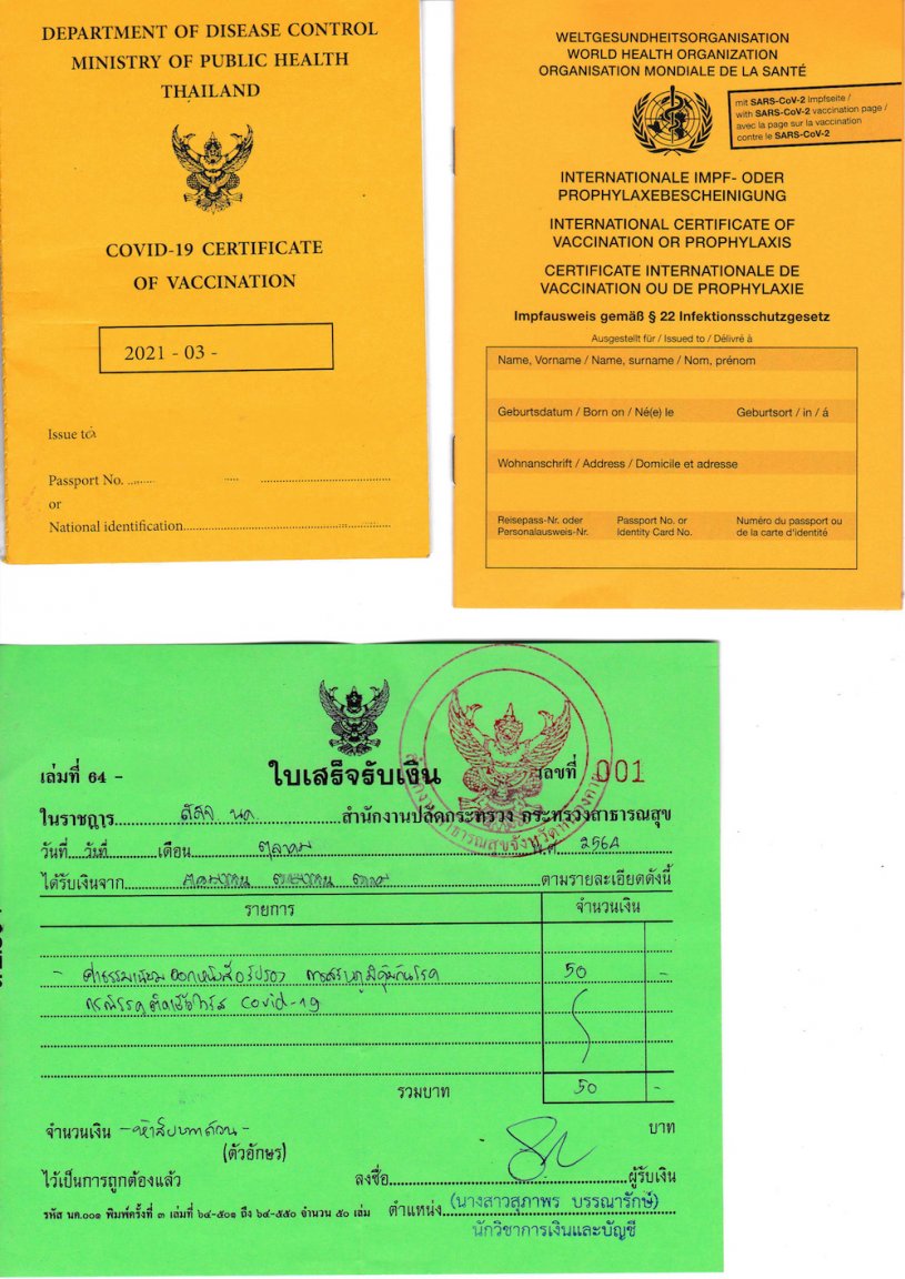 International Certificate of Vaccination.jpeg