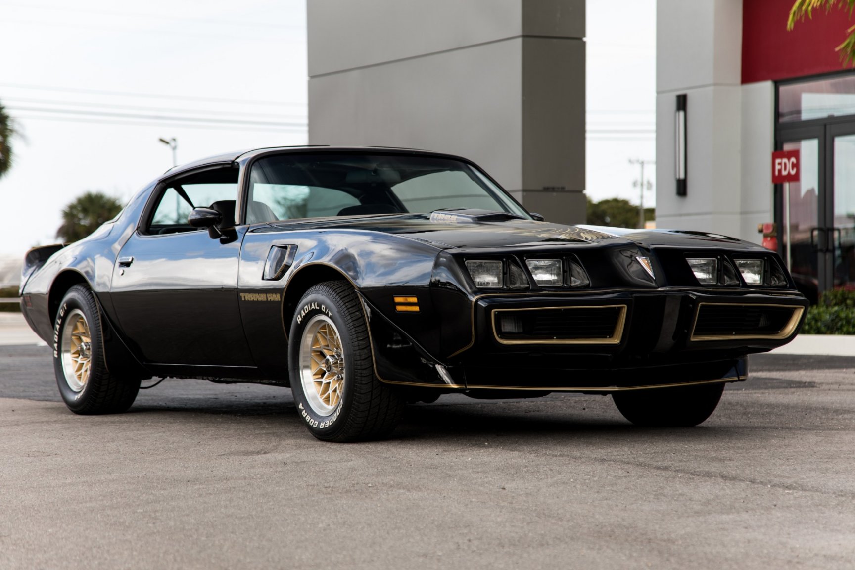 Used-1981-Pontiac-Firebird (1).jpg