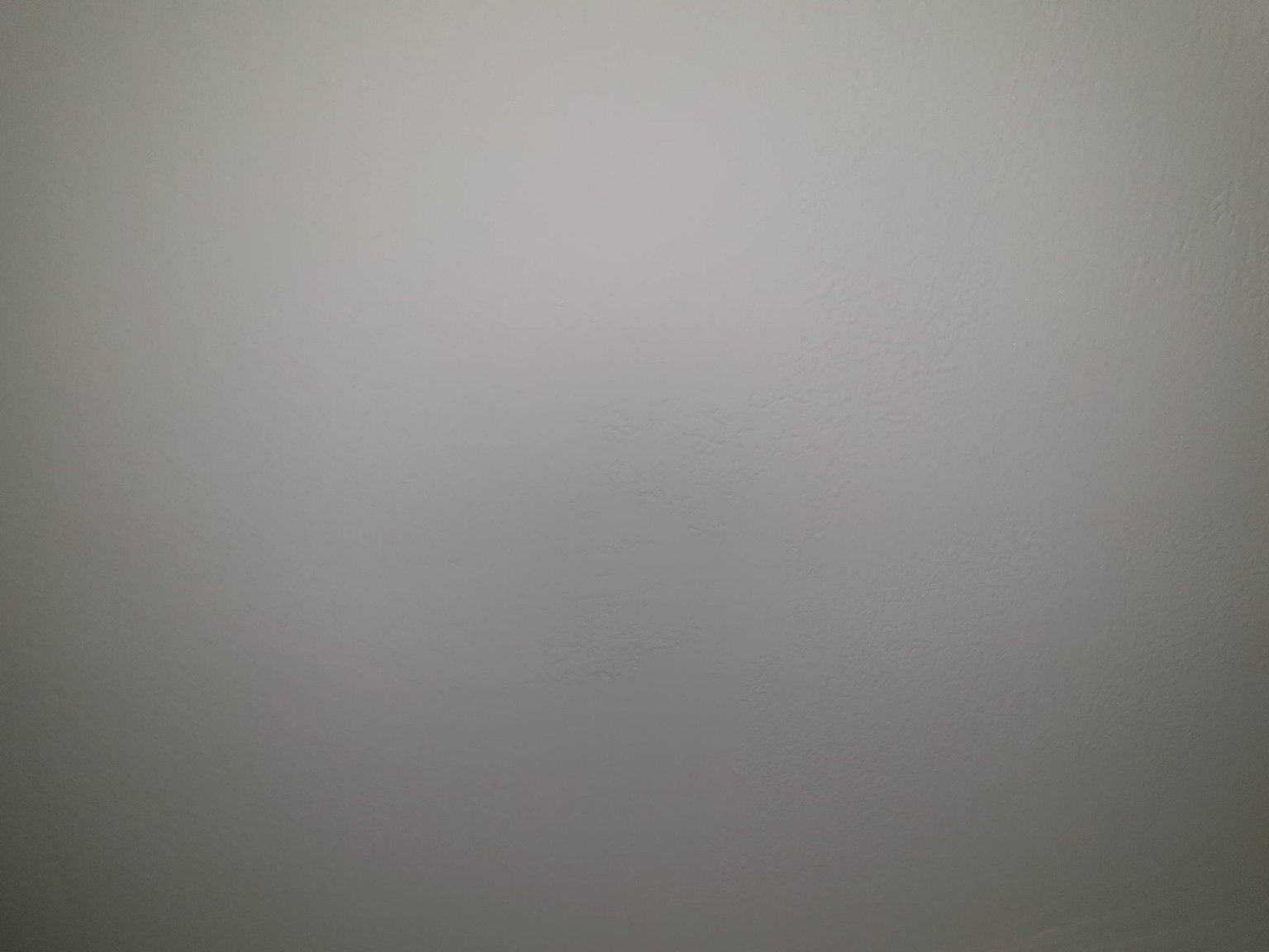 245105397_593268098480105_8910658399981399399_n.jpg