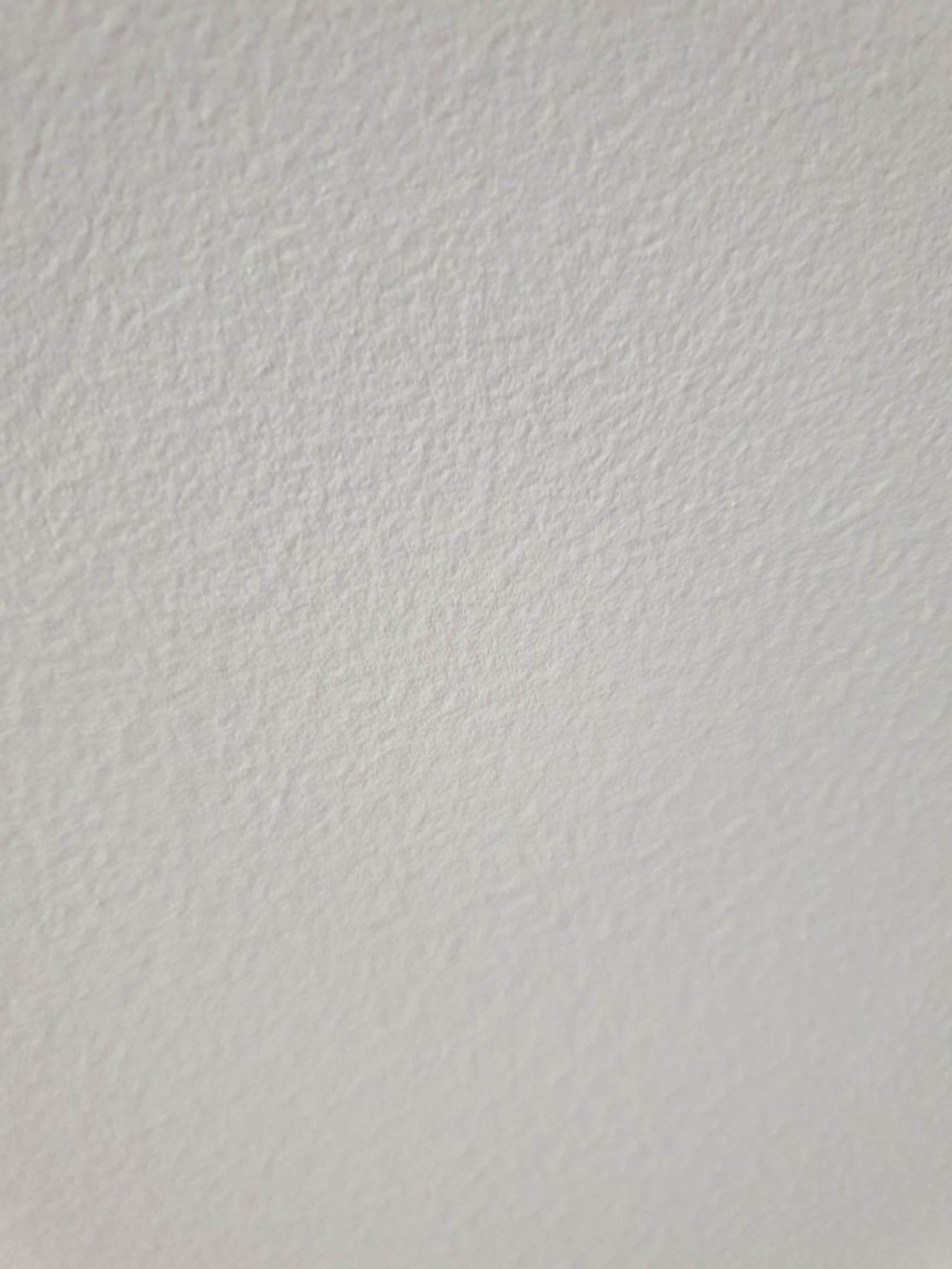 245597845_418691703101019_6843401358857097009_n.jpg